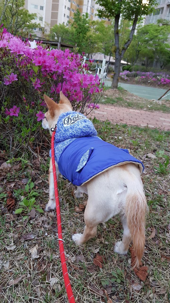 꽃보다예쁜공주..