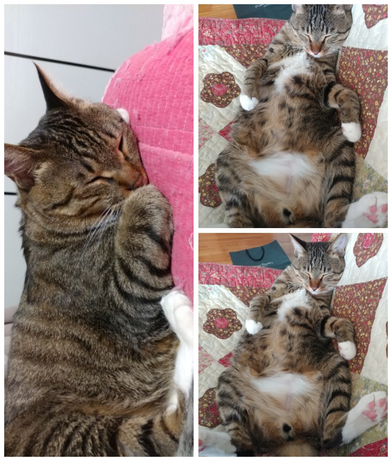 꾸미  ( 깨죽이)  1년 후기 입니다.