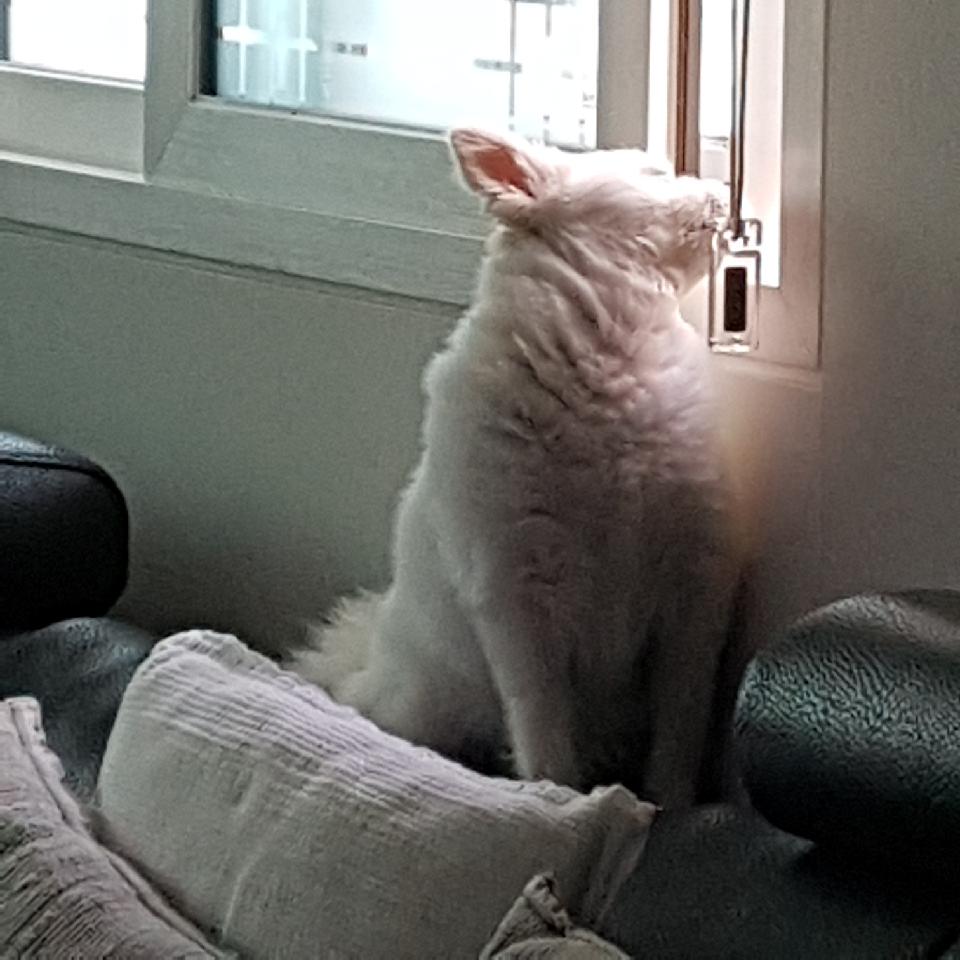 꼬마 잘지내고 있습니다~~