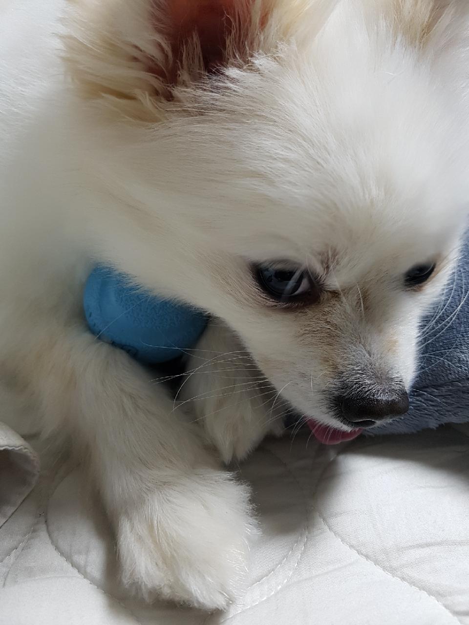 꼬마 잘지내고 있습니다~~