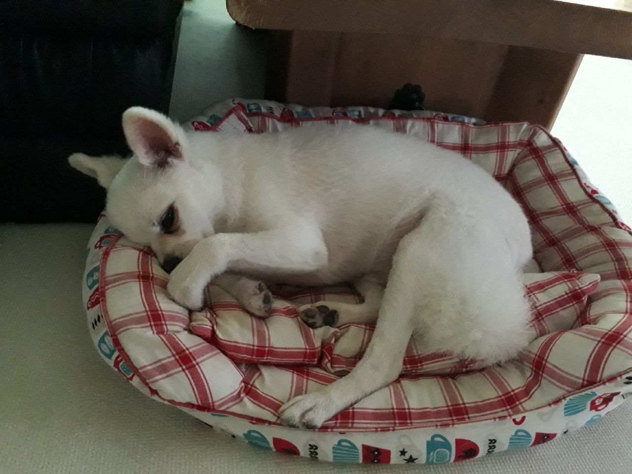세모가 1년이 되었네요.