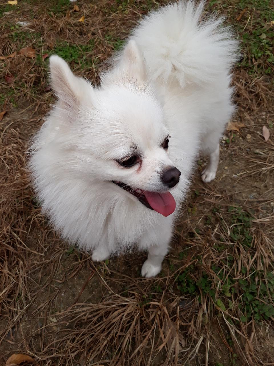 세모가 1년이 되었네요.