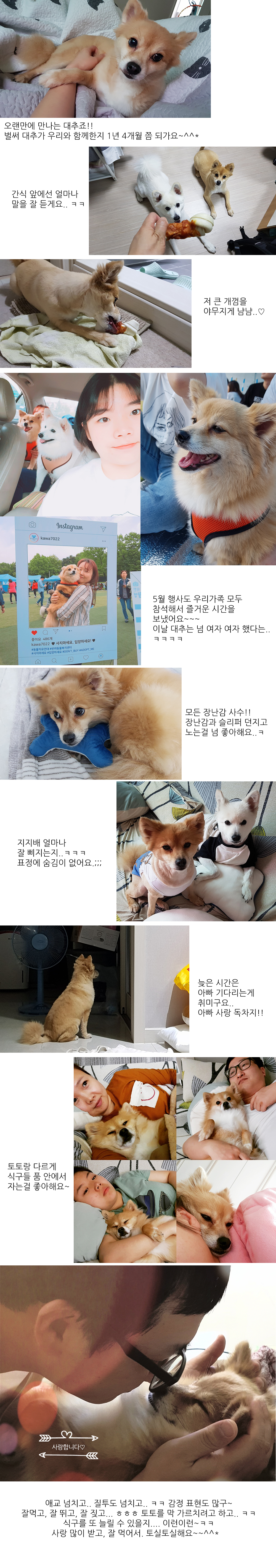 우리 대추 오랜만에 인사드려요~