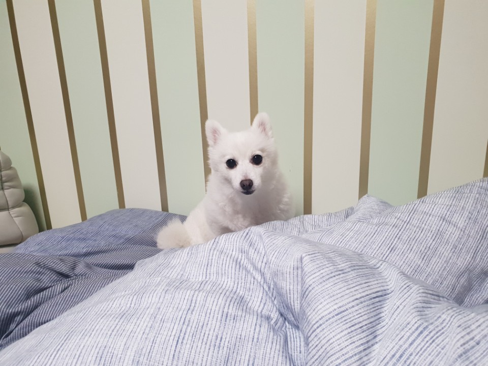 햇살이에요~~