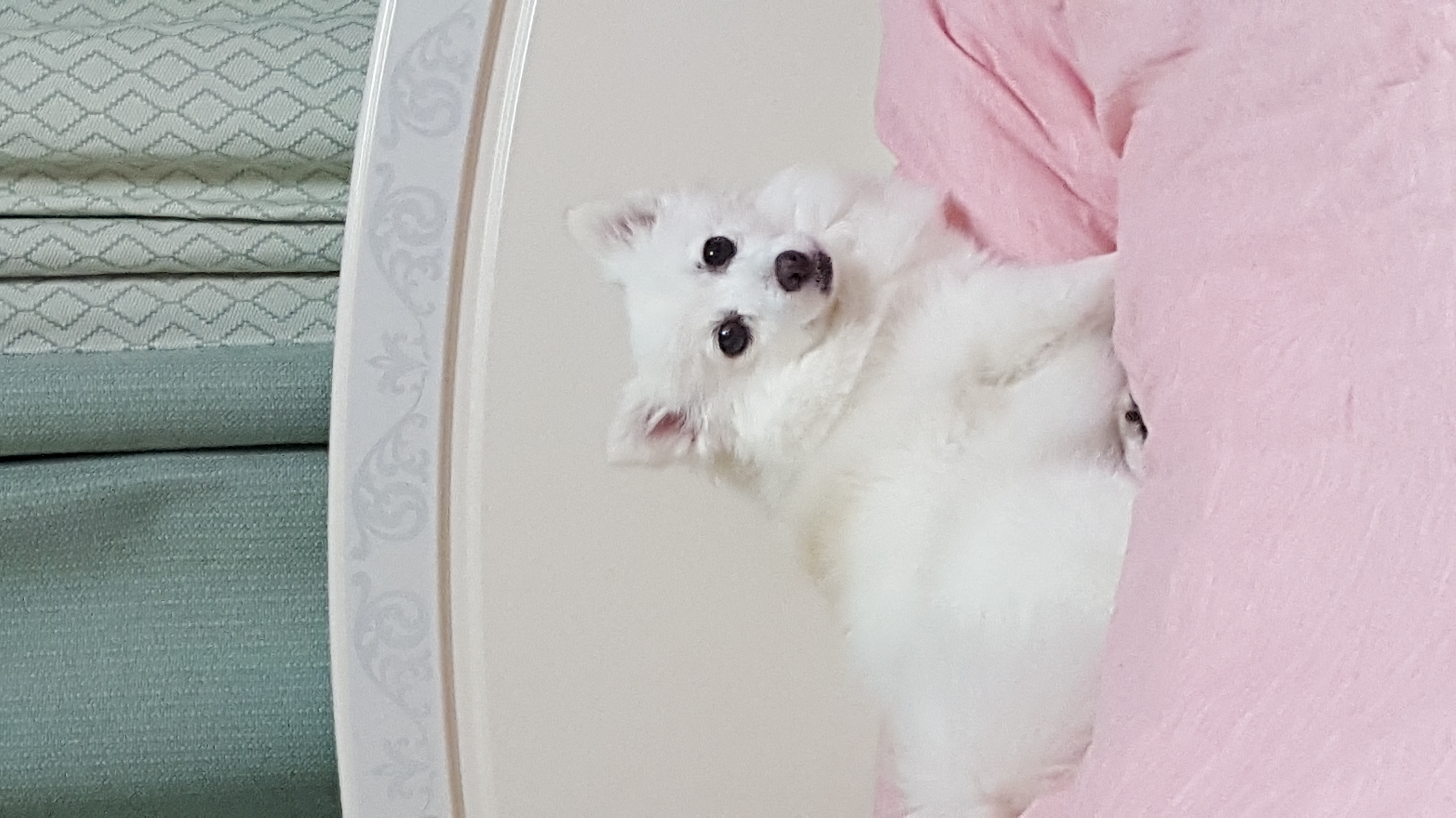 햇살이에요~~