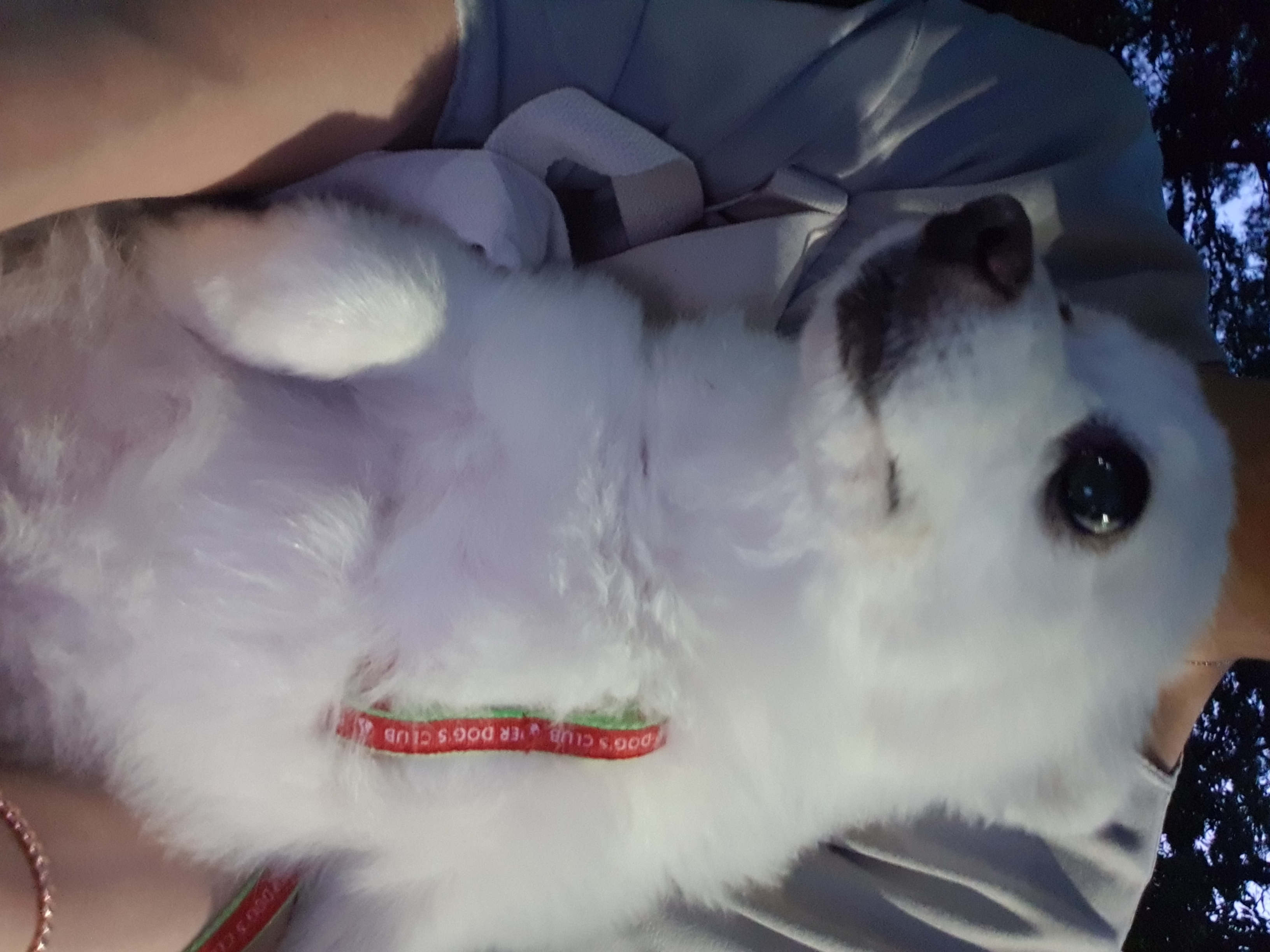 햇살이에요~~