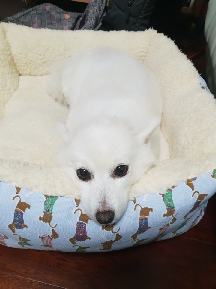 햇살이에요~~