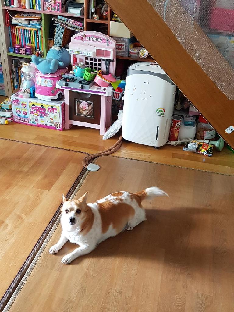 매실이 1년만에 후기입니다.