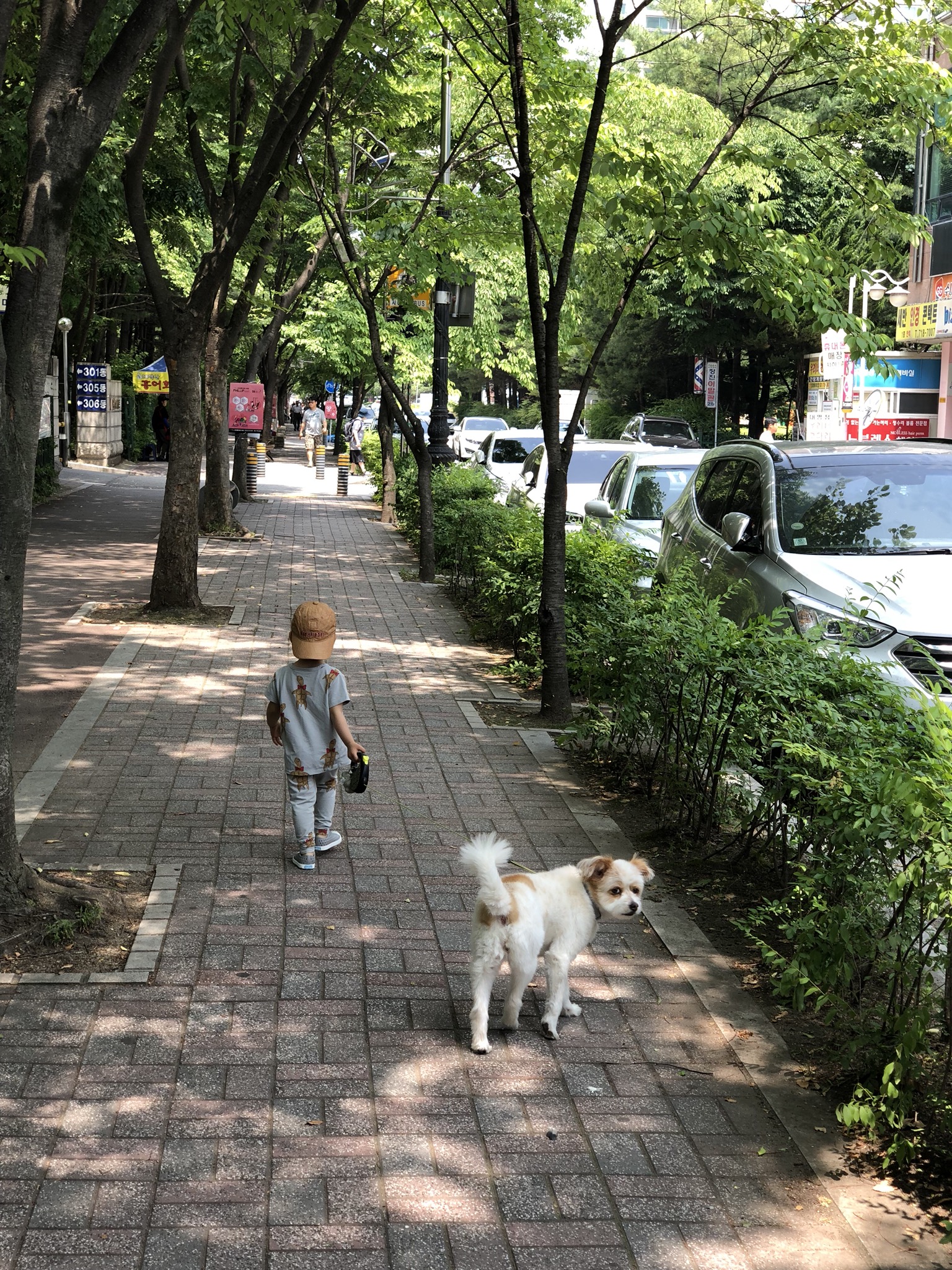 뚱순이를 데려온지도 벌써 8년