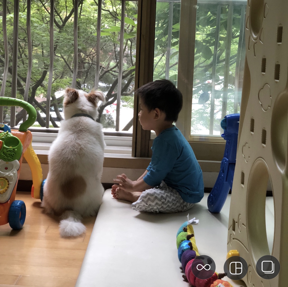 뚱순이를 데려온지도 벌써 8년
