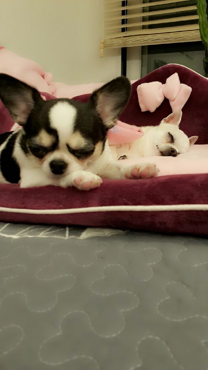 와와 소식올려요~~