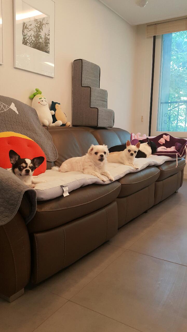 와와 소식올려요~~
