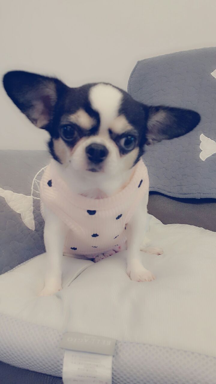 와와 소식올려요~~