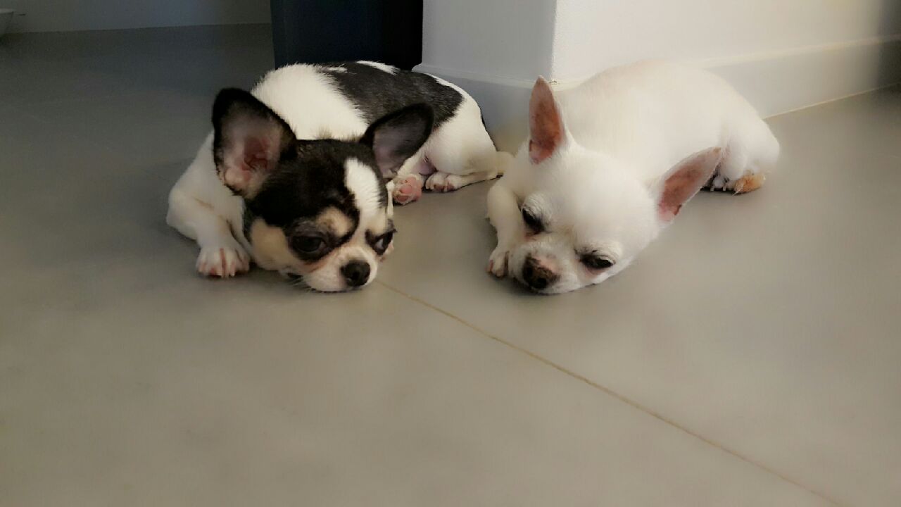 와와 소식올려요~~