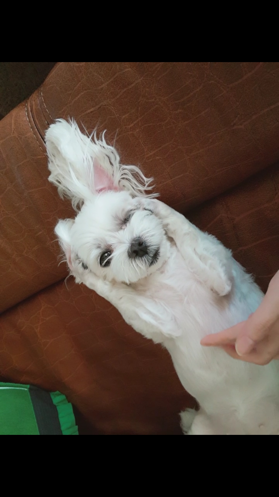 꼬물꼬물 뽀야