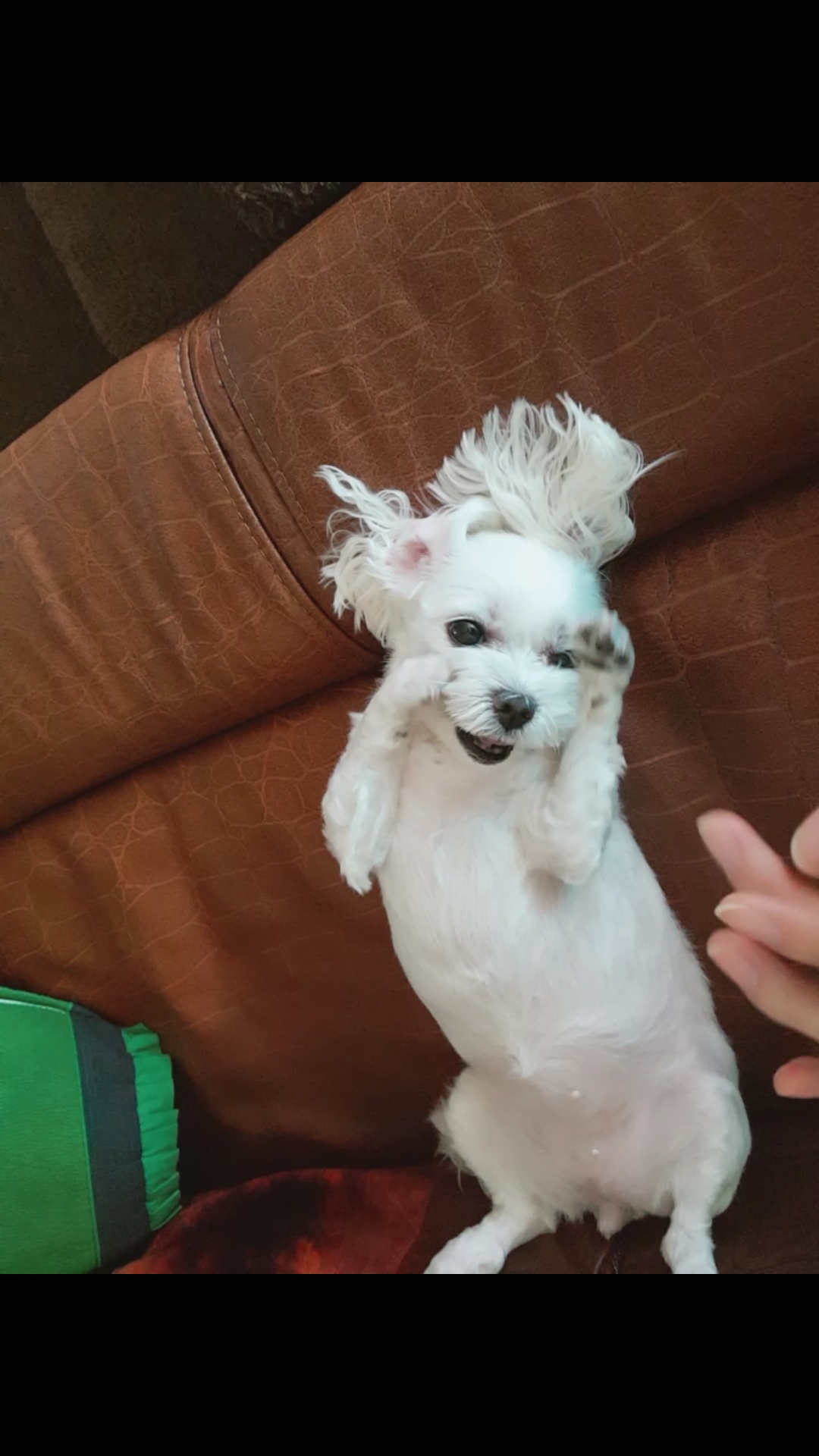 꼬물꼬물 뽀야