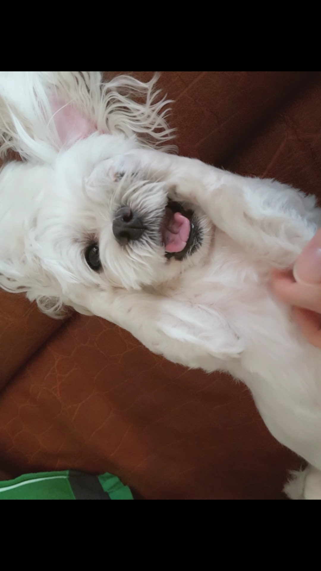 꼬물꼬물 뽀야
