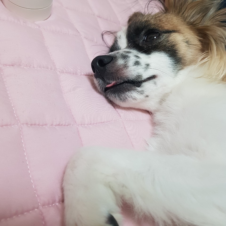 잔치 소식입니다