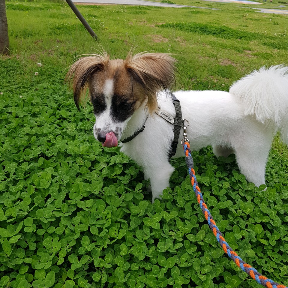 잔치 소식입니다