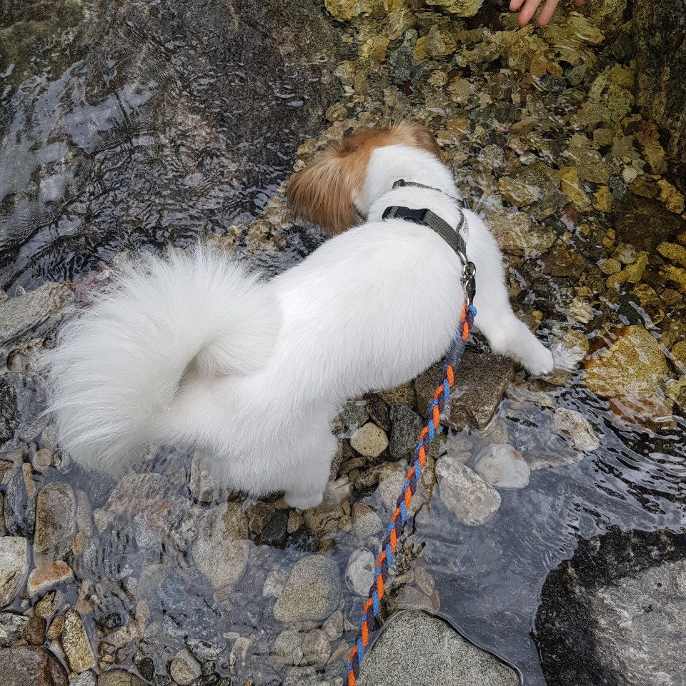 잔치 소식입니다