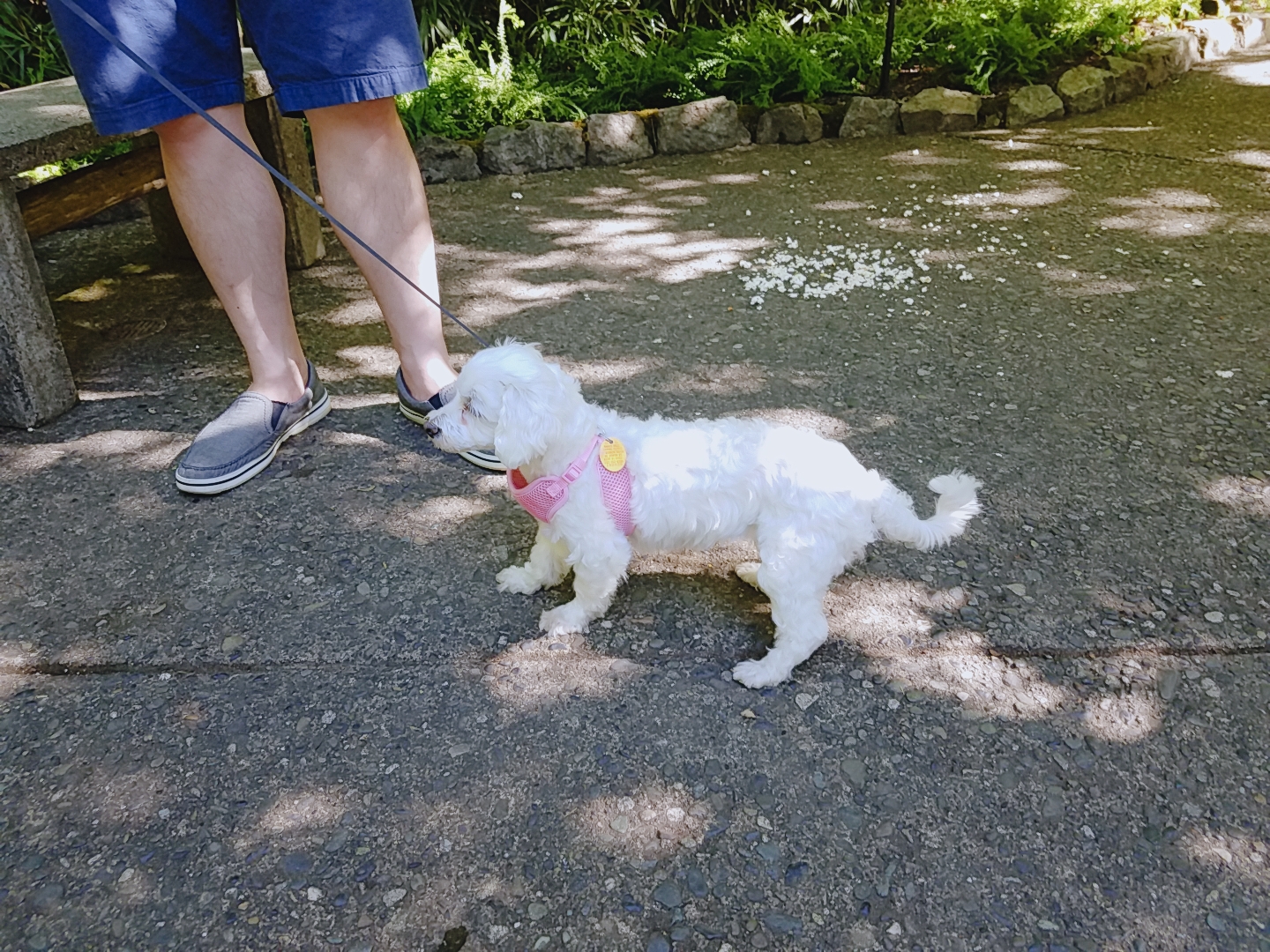 비단이 세번째 후기 올려용
