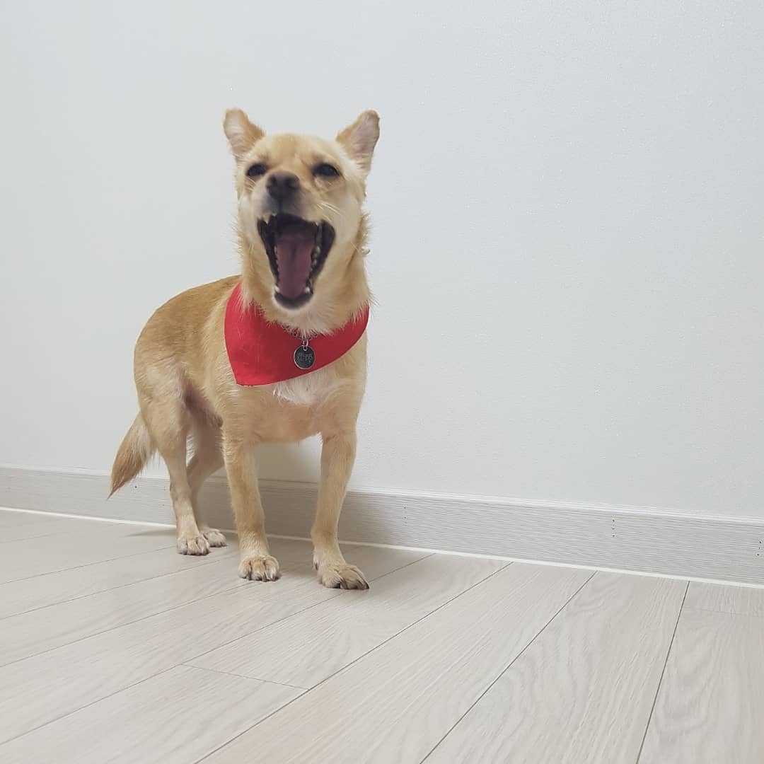 차차 잘있어요~~~