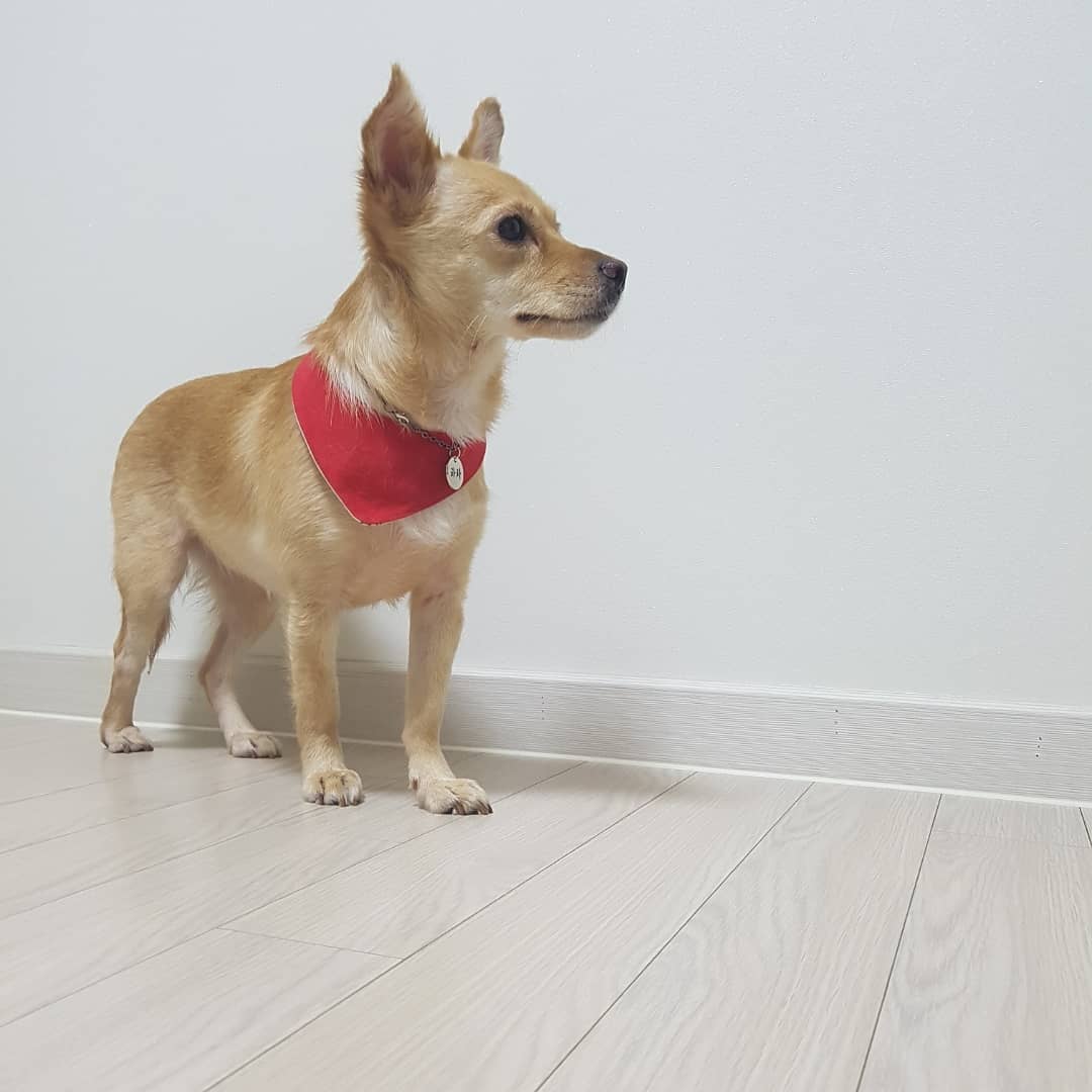 차차 잘있어요~~~