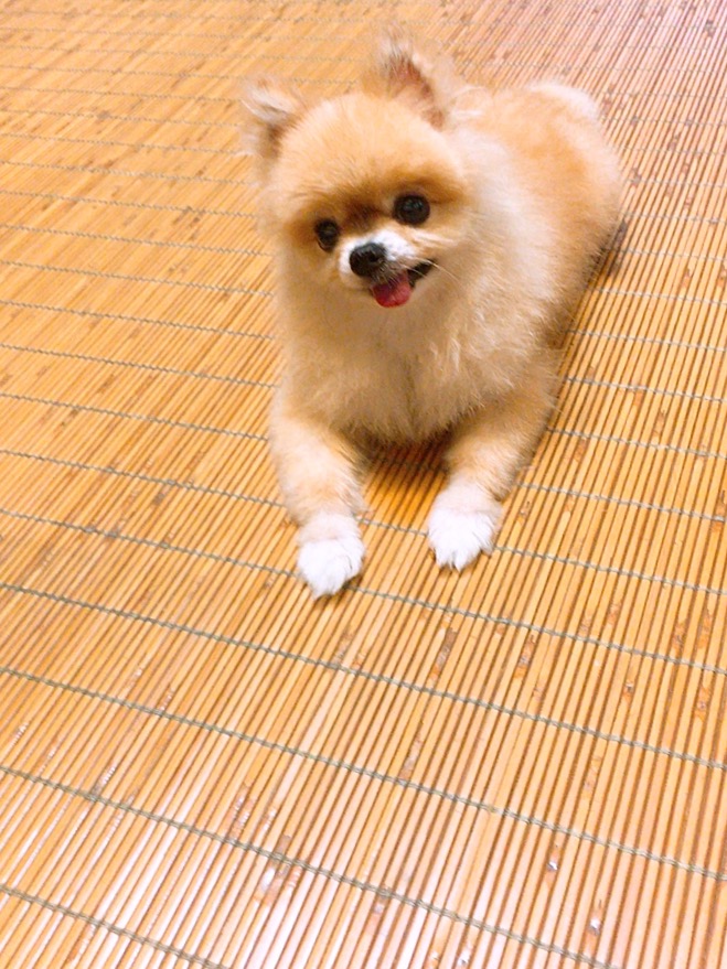 티아공쥬 잘지내고있어요~~