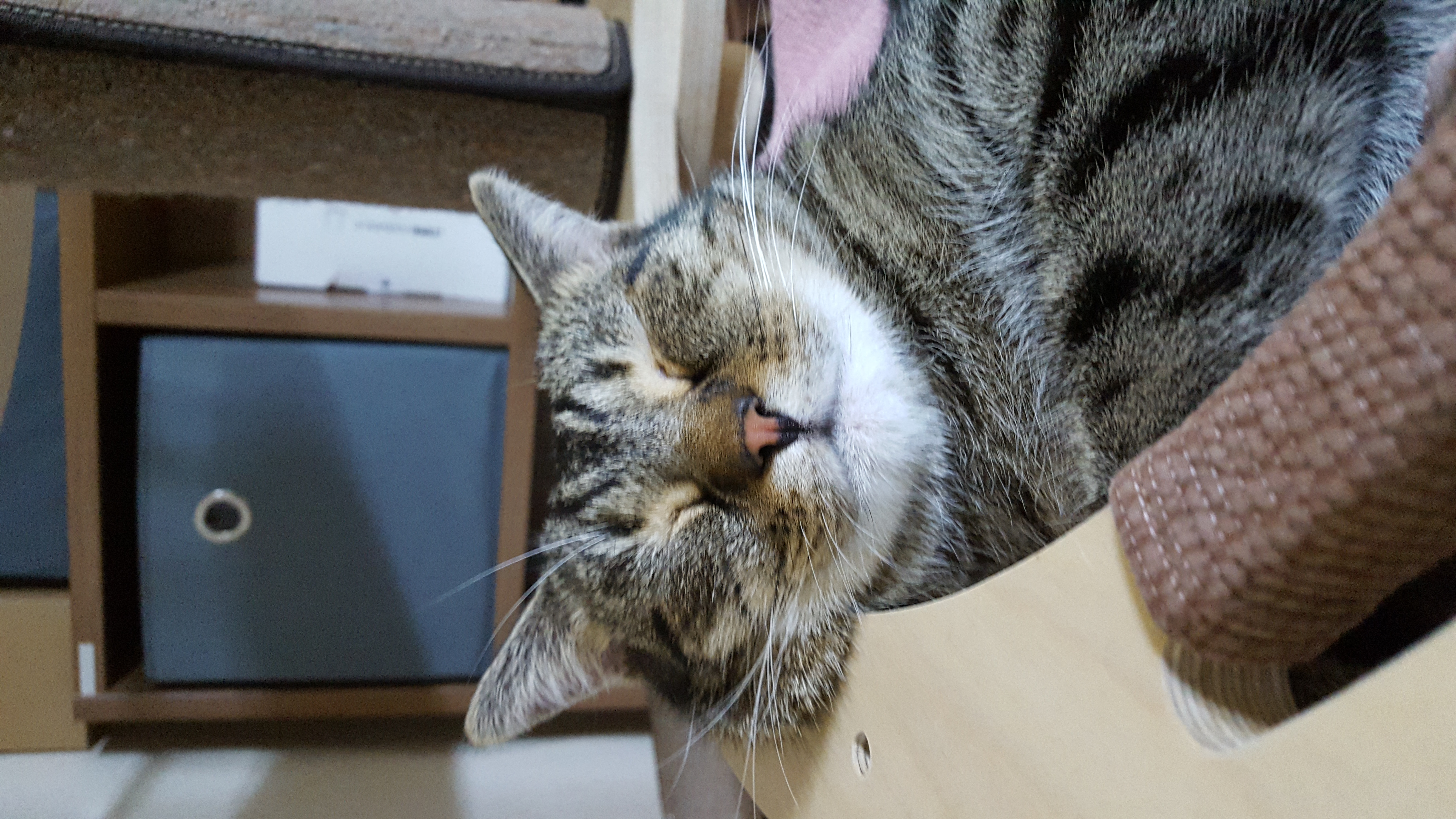 봉구 온지 벌써 일년이 지났어요