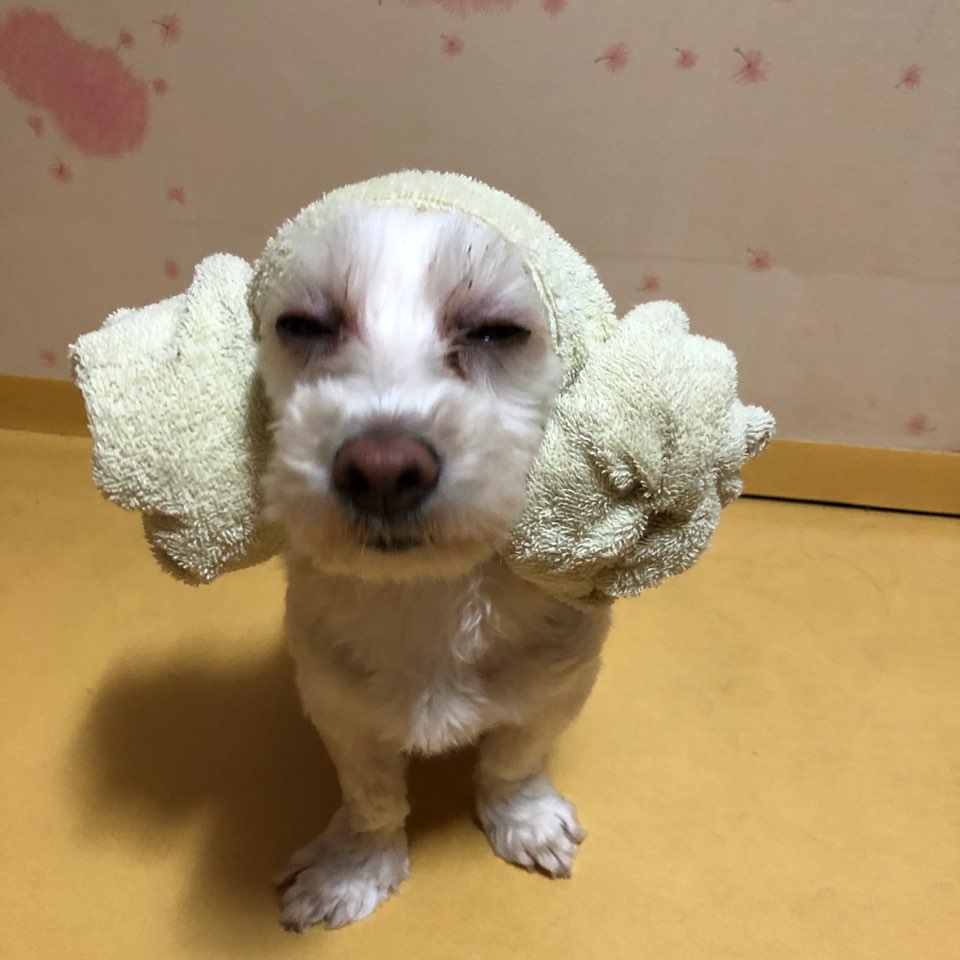 말자 잘지내요