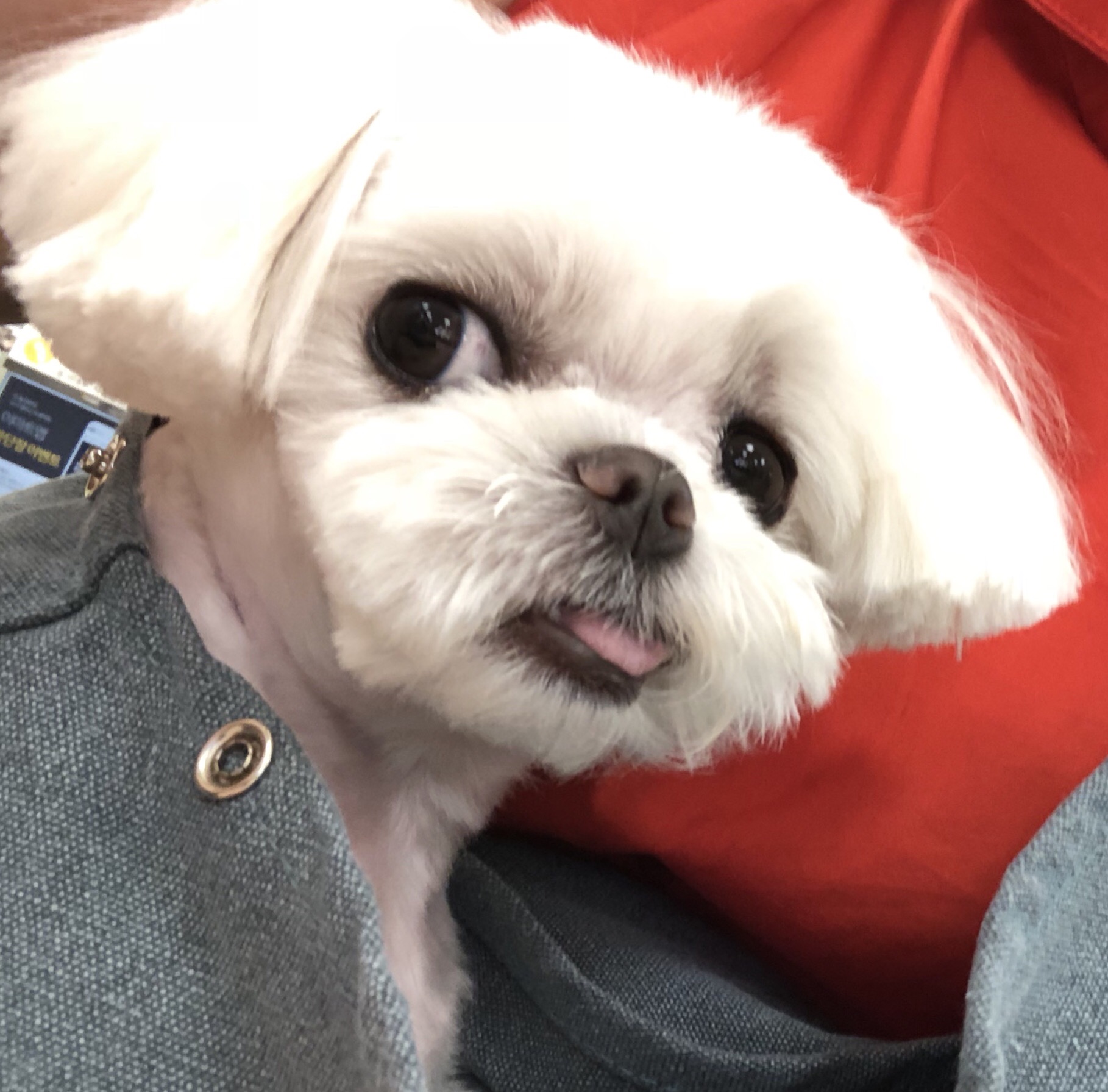 요다 이야기