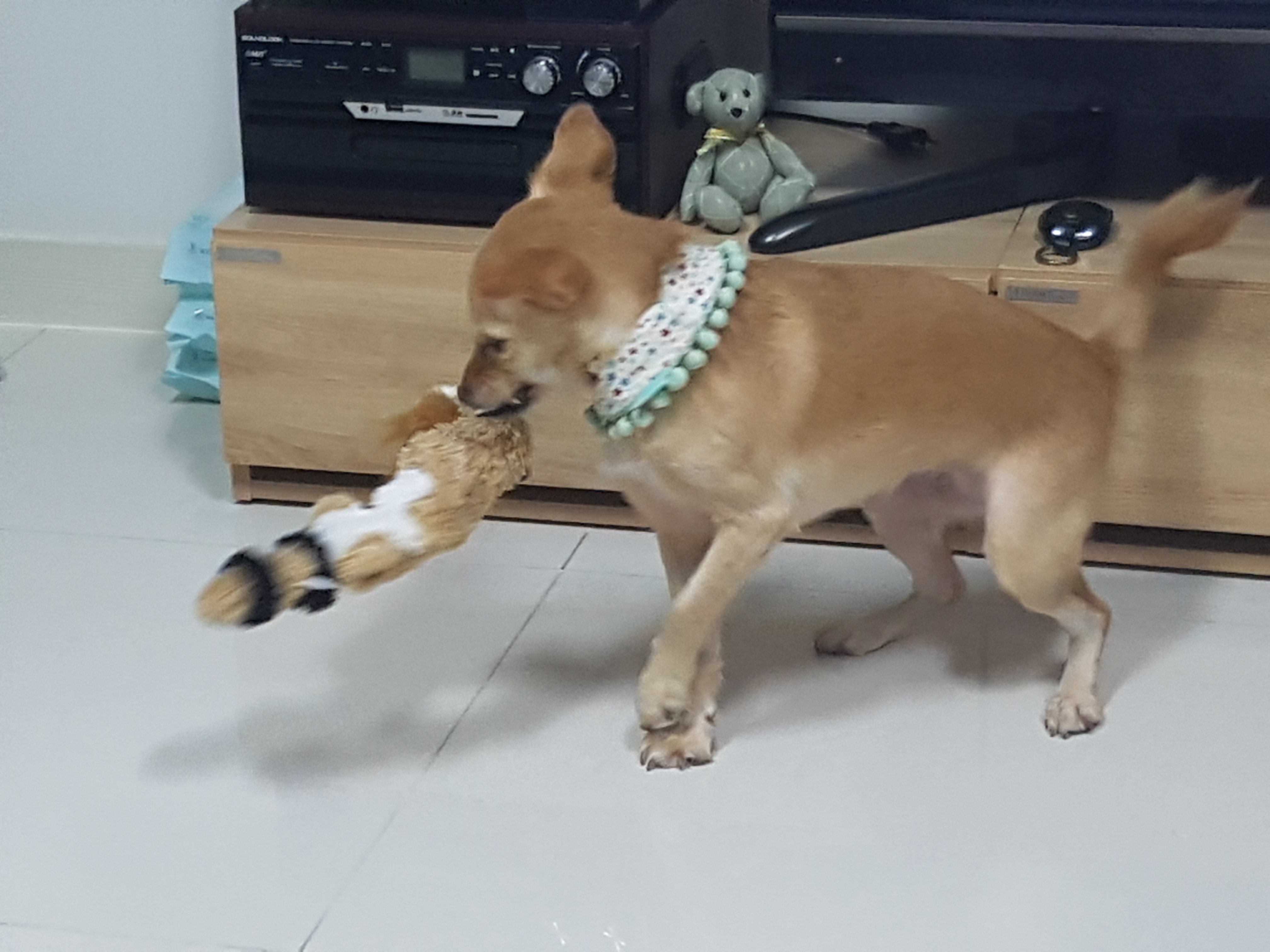 차차가 온지 20일이면 한달이네요~