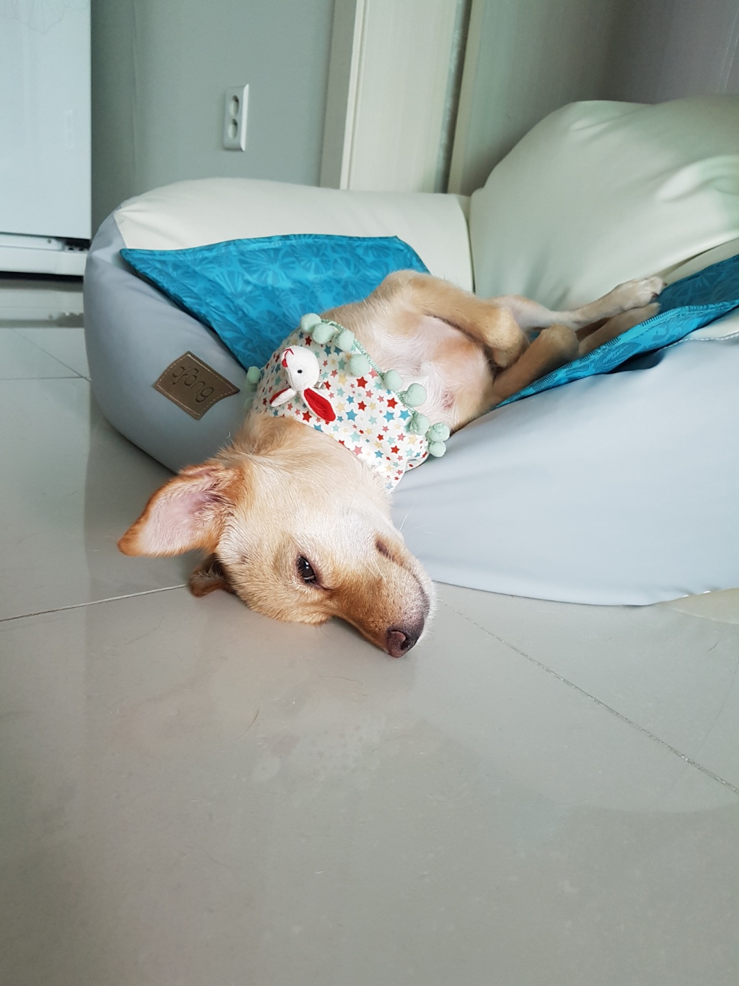 차차가 온지 20일이면 한달이네요~