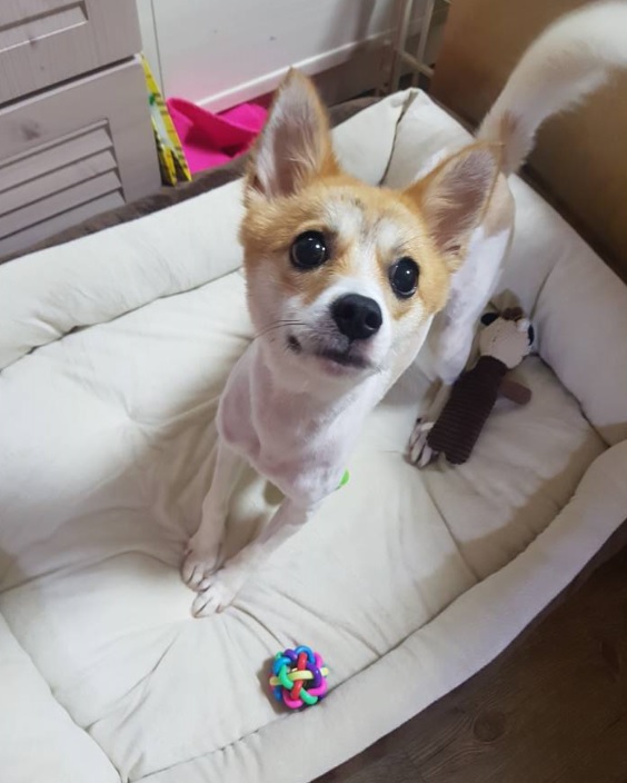 제니(카멜이) 2번째 후기