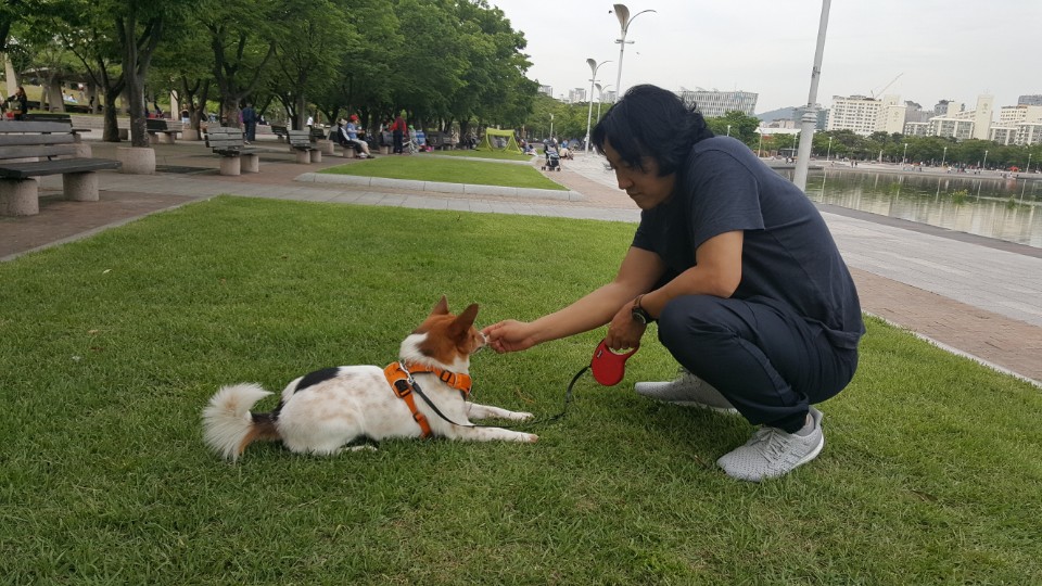 하이가 저희 집에 온지 1년이 되었어요!