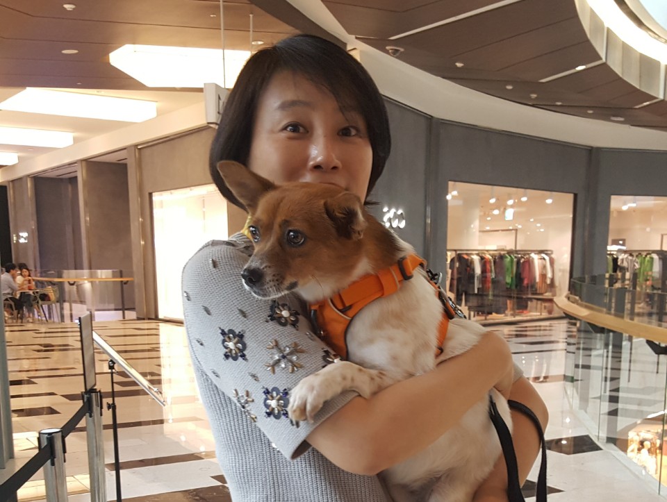 하이가 저희 집에 온지 1년이 되었어요!