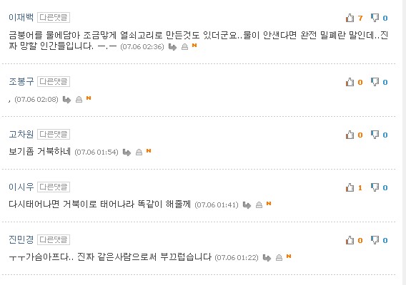 잔인하게 판매되고 있는 새끼거북이들