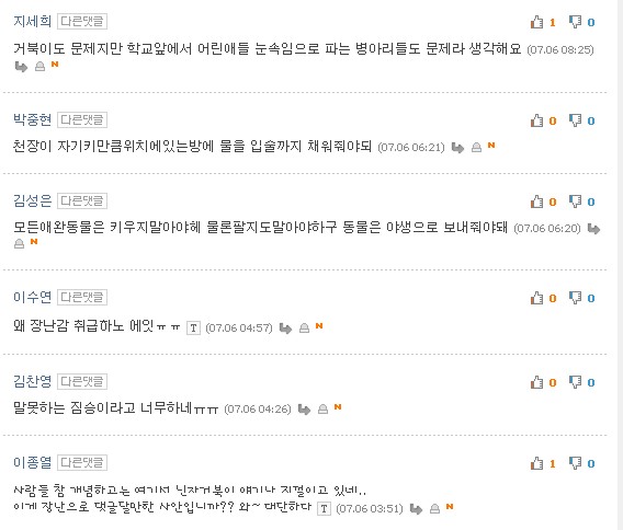 잔인하게 판매되고 있는 새끼거북이들