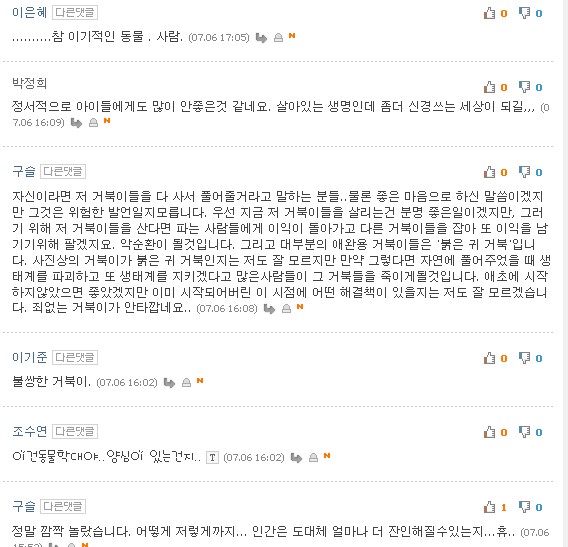 잔인하게 판매되고 있는 새끼거북이들