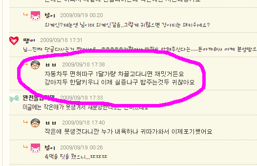 도와주세요. 말티 강아지가 주인 잘못 만나 곧 버려질 거 같아요.