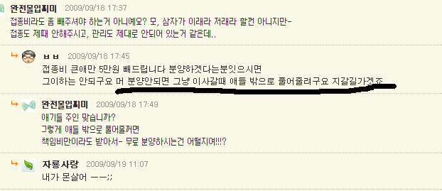 도와주세요. 말티 강아지가 주인 잘못 만나 곧 버려질 거 같아요.