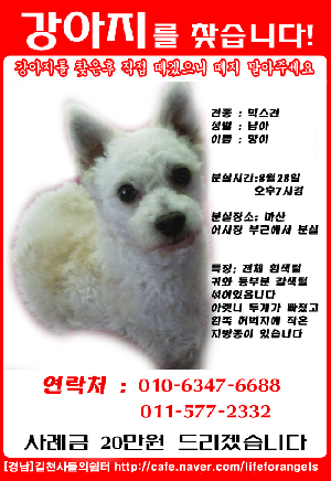 (상담)한달이다되어가는 우리망이를 찾을수있게.....