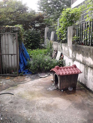 저희 동네 개가 방치되어서 길러지고 있어요.