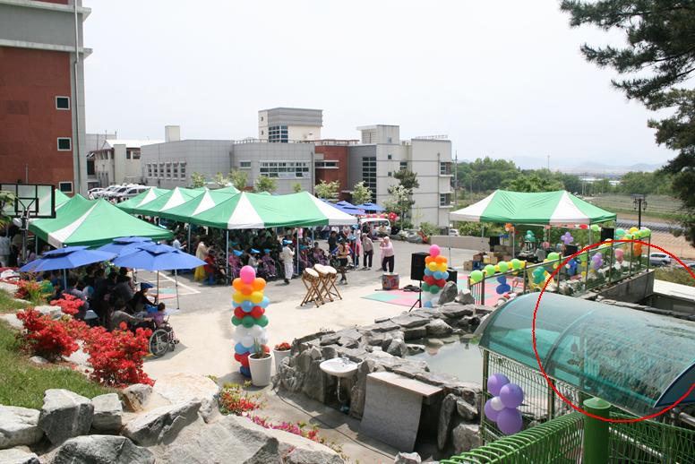 요양병원 옆, 상태안좋은 유기견으로보이는 개들을 많이 키우고있어요..