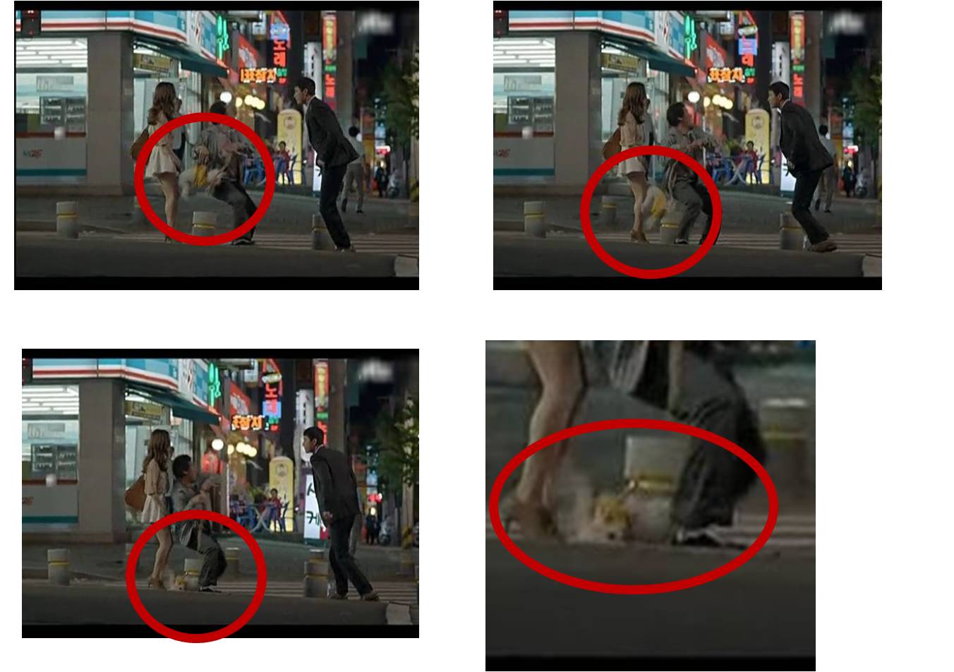 드라마 빠담빠담에서 강아지를 떨어뜨리는 최악의 설정 