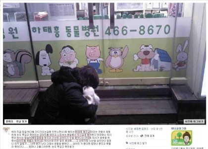 손물었다고 강아지를목졸라죽인 동물병원