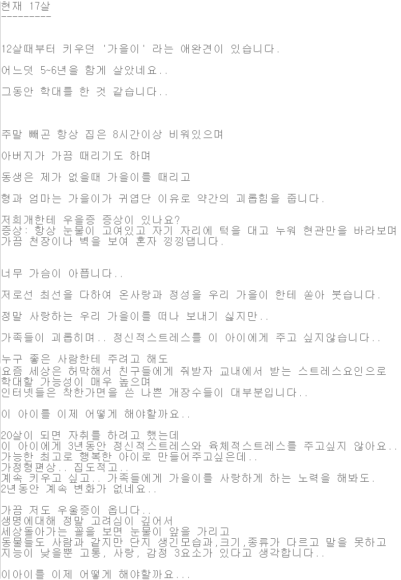 제가 저희 애완견을 학대하는 것 같아요
