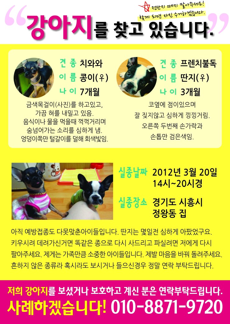 강아지 납치..에 대해..