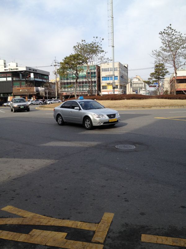 학대는 아니고, 위험해보여서 구조요청드려요