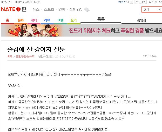 네이트판에 동물 학대글 조사 부탁드립니다